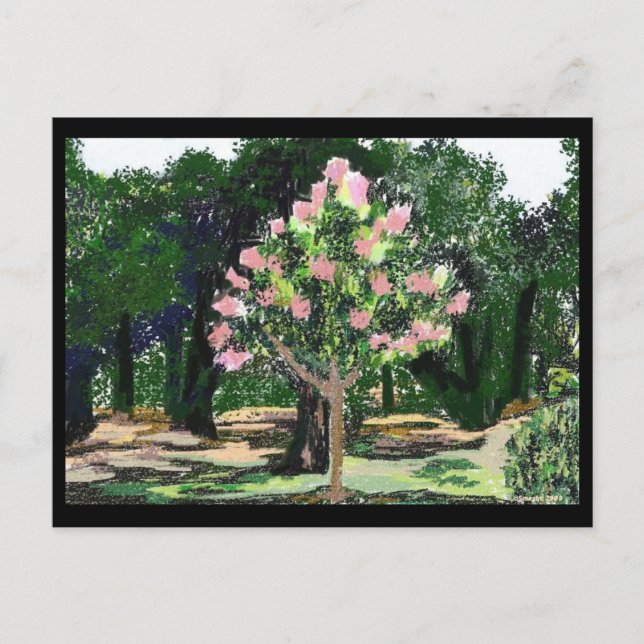 Crepe Myrtle Tree Postcard (Front)