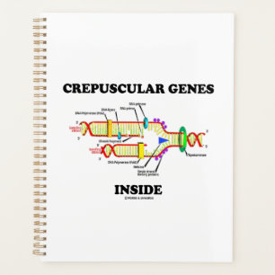 Crepuscular Genes Inside DNA Humour Planner