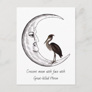 Crescent moon with face with  Great-billed Heron Postcard