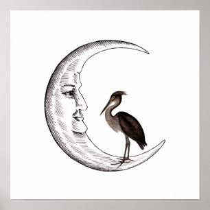 Crescent moon with face with Great-billed Heron Poster