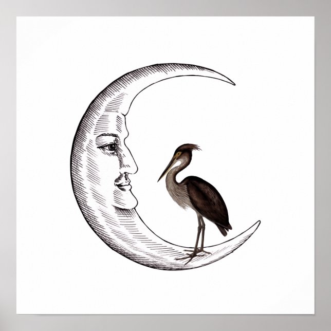 Crescent moon with face with  Great-billed Heron Poster (Front)