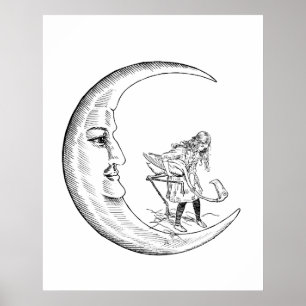 Cresent Moon & Alice playing croquet with flamingo Poster