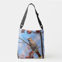 Crest‑Topped Waxwing in Bright Blue Sky
