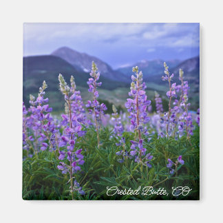Crested Butte Magnet 