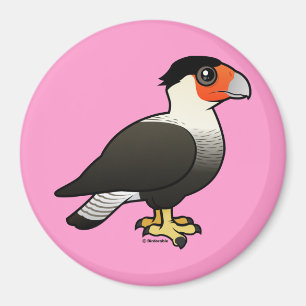 Crested Caracara Magnet