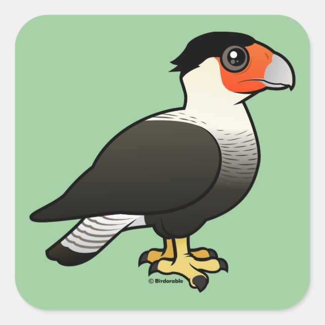 Crested Caracara Square Sticker (Front)