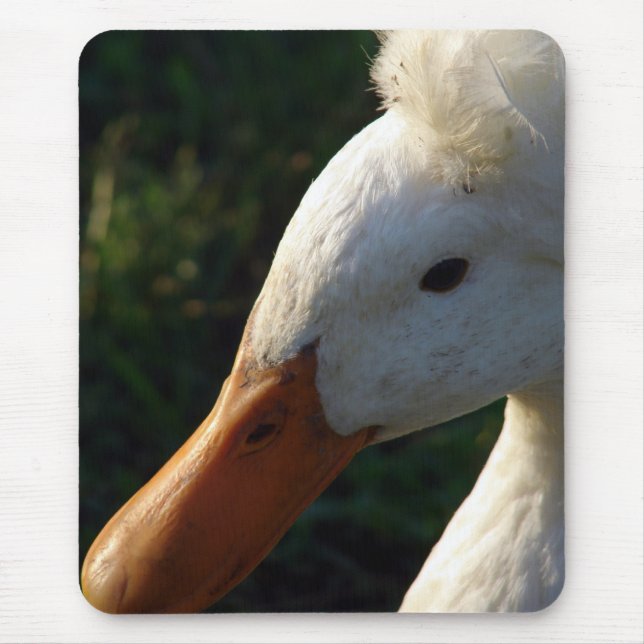 Crested Duck Mouse Mat (Front)