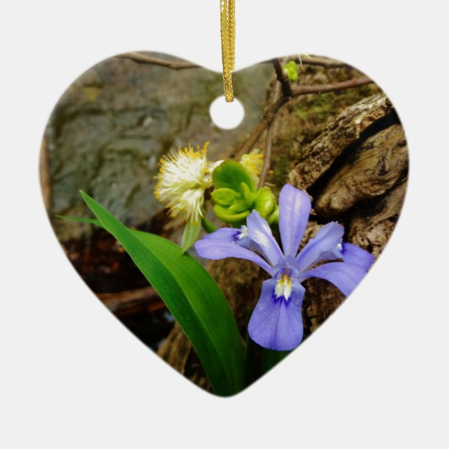 Crested Dwarf Iris blue purple white flower Ceramic Tree Decoration (Front)