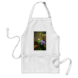 Crested Dwarf Iris blue purple white flower Standard Apron