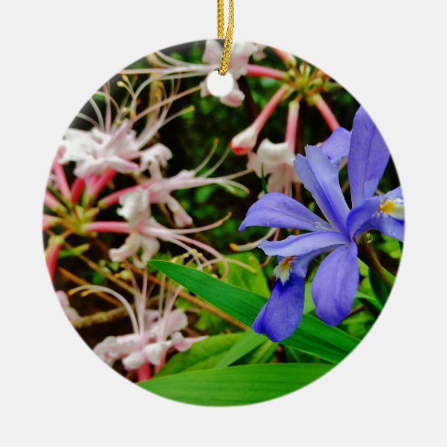 Crested Dwarf Iris Ceramic Tree Decoration (Front)