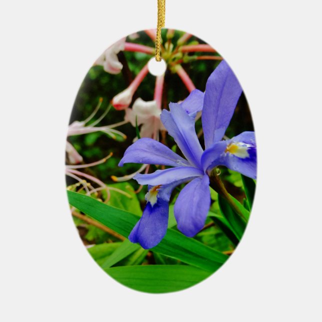 Crested Dwarf Iris Ceramic Tree Decoration (Front)