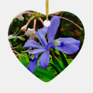 Crested Dwarf Iris Ceramic Tree Decoration