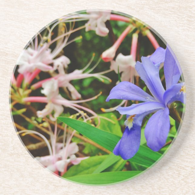 Crested Dwarf Iris Coaster (Front)
