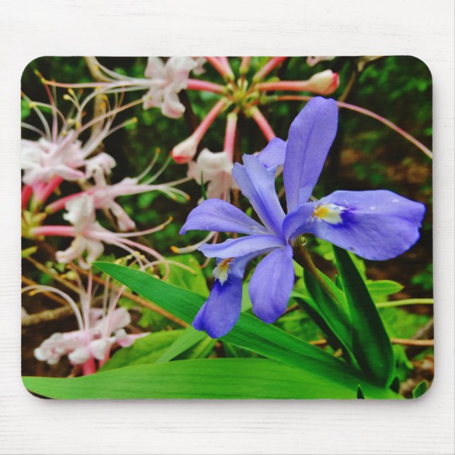 Crested Dwarf Iris Mouse Mat (Front)
