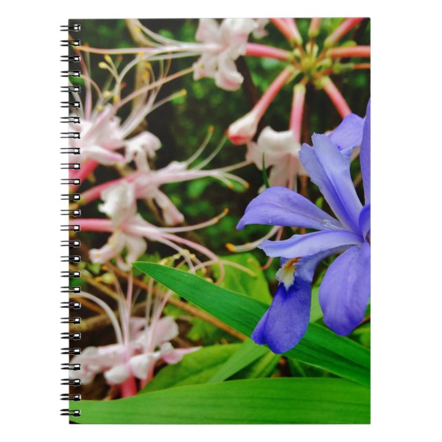Crested Dwarf Iris Notebook (Front)