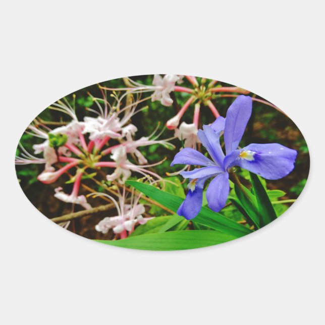 Crested Dwarf Iris Oval Sticker (Front)