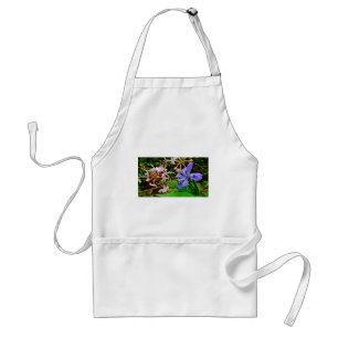 Crested Dwarf Iris Standard Apron