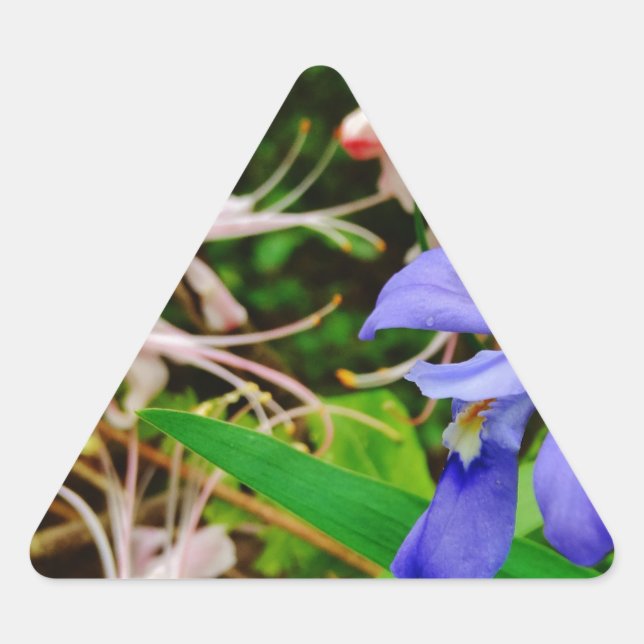 Crested Dwarf Iris Triangle Sticker (Front)