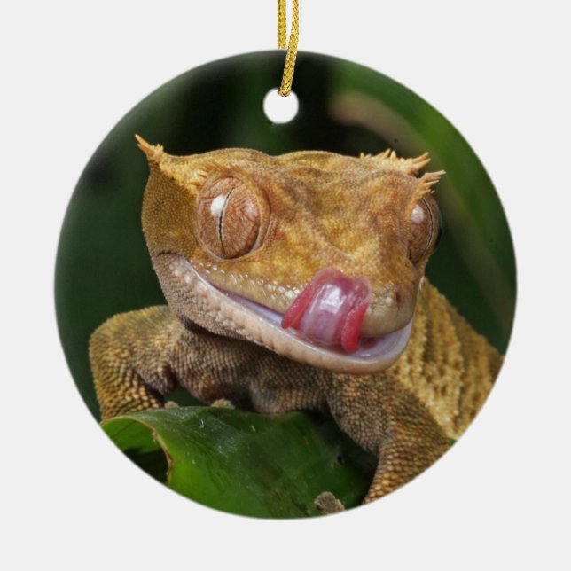 Crested Gecko Lizard Ceramic Tree Decoration (Front)