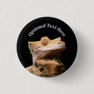Crested Gecko Lizard on black 3 Cm Round Badge