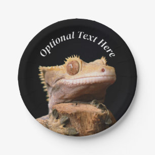 Crested Gecko Lizard on black Paper Plate