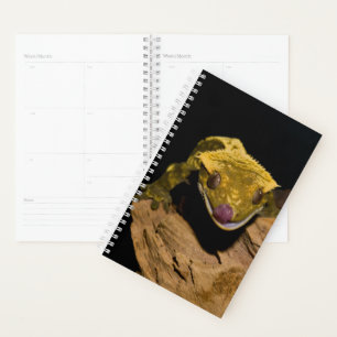 Crested Gecko Planner
