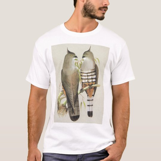 Crested Hawk - Aviceda subcristata T-Shirt