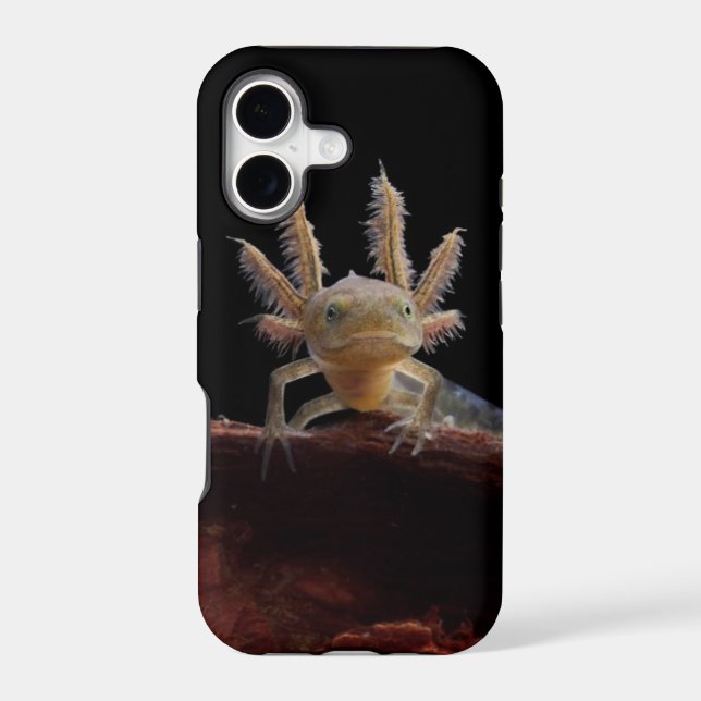 Crested newt larve (Back)