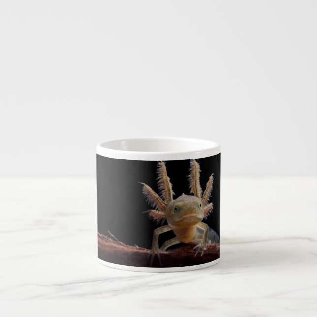 Crested newt larve espresso cup (Front)