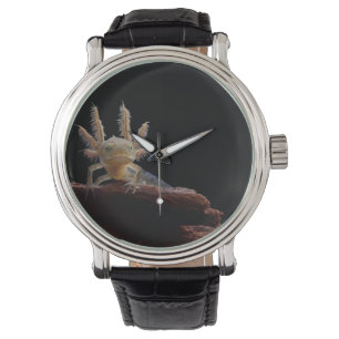 Crested newt larve watch