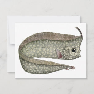 Crested Oarfish Fish, Vintage Marine Aquatic Life