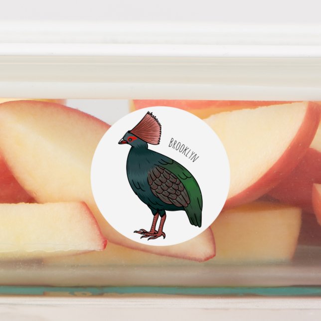Crested partridge bird cartoon illustration (Affixed)