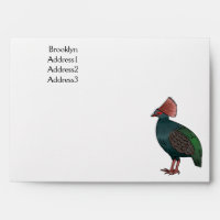 Crested partridge bird cartoon illustration