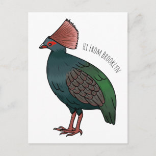 Crested partridge bird cartoon illustration postcard
