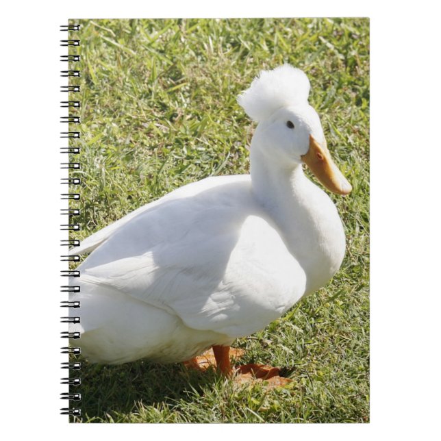 Crested Pekin Duck Spiral Photo Notebook (Front)