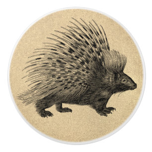 Crested Porcupine Ceramic Knob