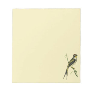 Crested Shortbill Notepad