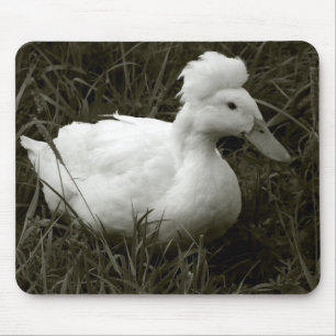 Crestie in Black and White Mouse Mat