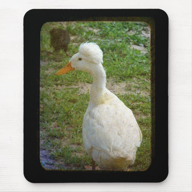 Crestie Mouse Mat (Front)