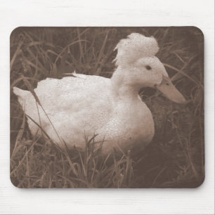 Crestie the Crested Duck Mouse Mat