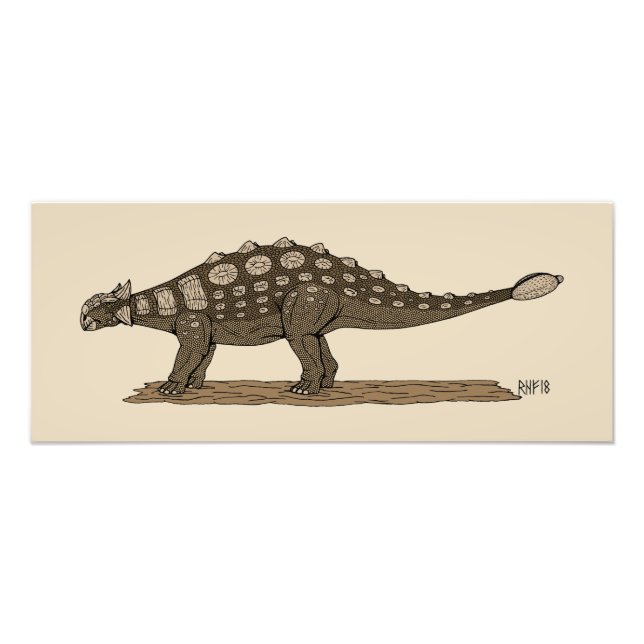 Cretaceous Dinosaur Ankylosaurus Photo Print (Front)