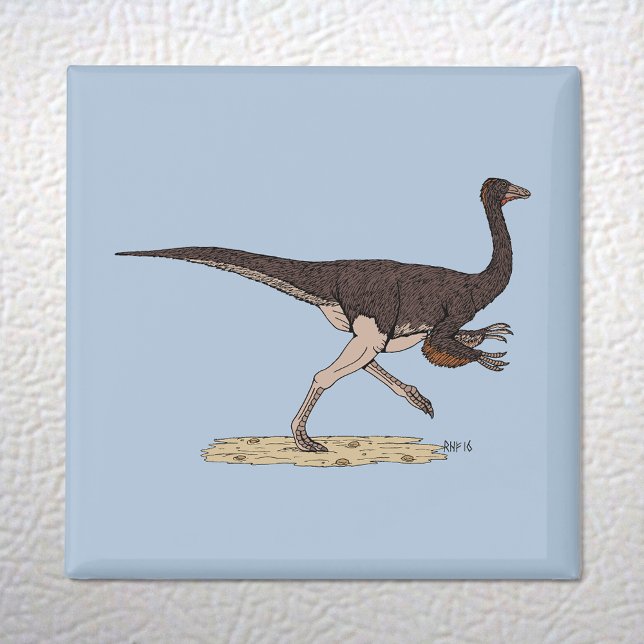 Cretaceous Dinosaur Ornithomimus Magnet (Cretaceous Dinosaur Ornithomimus Magnet on White Fridge)