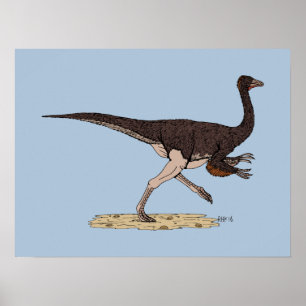 Cretaceous Dinosaur Ornithomimus Poster