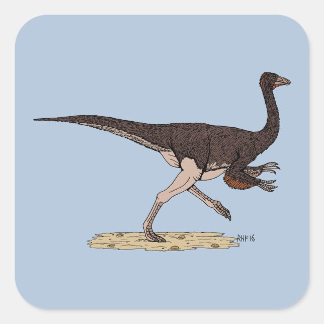Cretaceous Dinosaur Ornithomimus Square Sticker (Front)