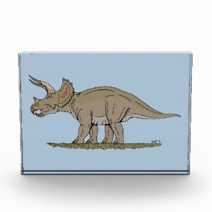 Cretaceous Dinosaur Triceratops Photo Block