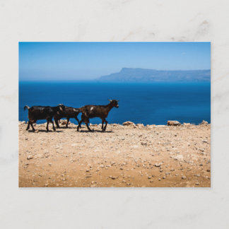 Crete 8 postcard