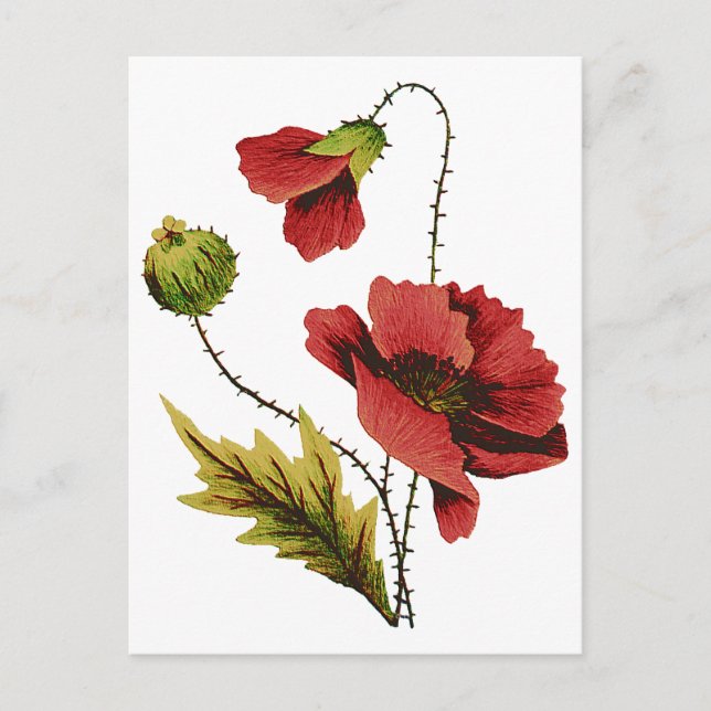 Crewel Embroidery Red Poppy Postcard (Front)