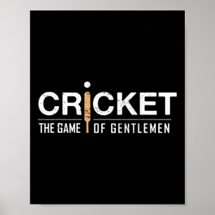 Cricket 14 poster