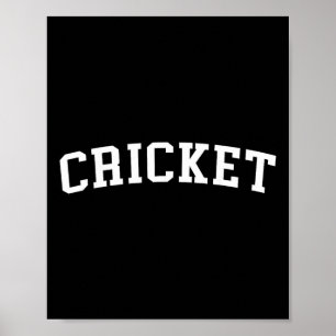 Cricket 1  poster
