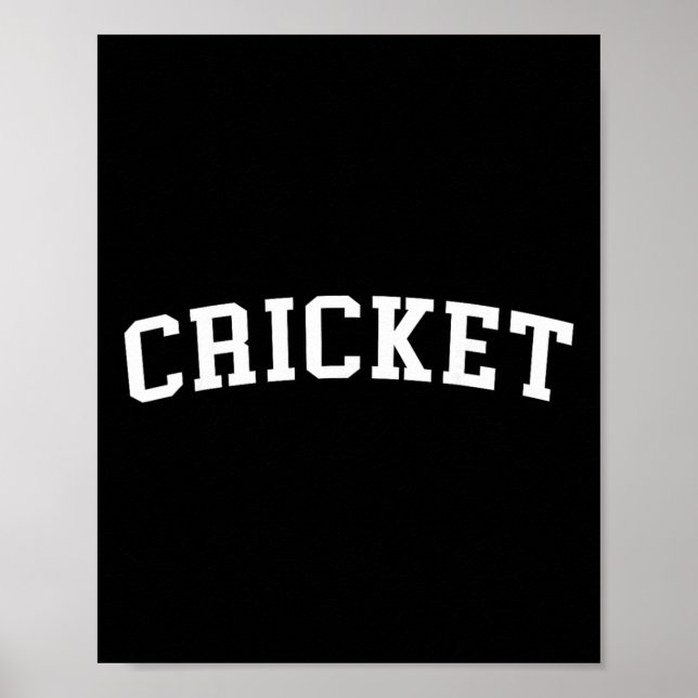 Cricket 1  poster (Front)